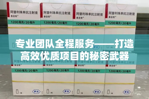 郑州专业团队全程服务——打造高效优质项目的秘密武器