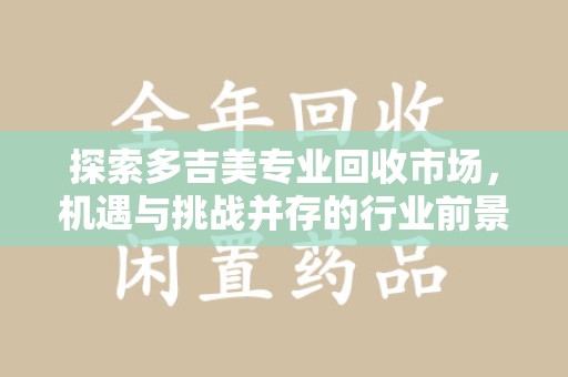 郑州探索多吉美专业回收市场，机遇与挑战并存的行业前景